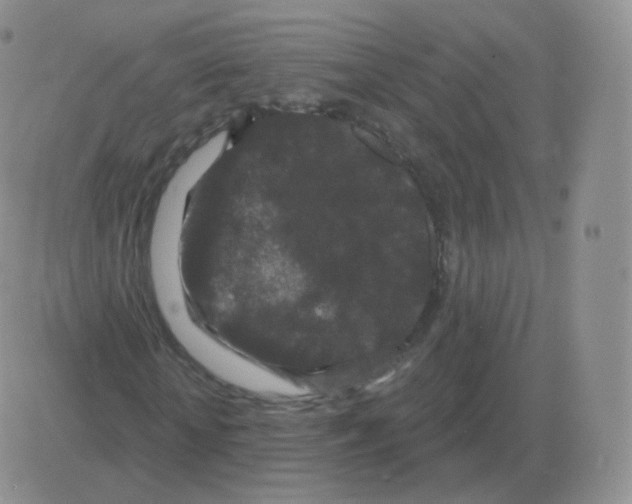 X0000082680818200702232135