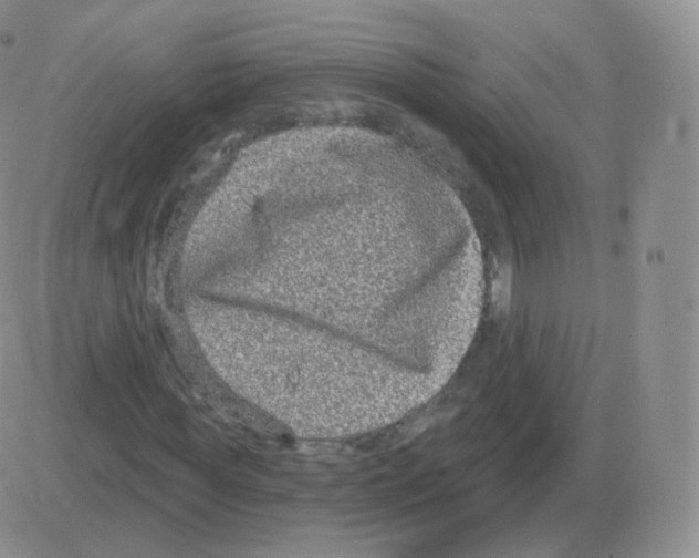 X0000082680819200702232135