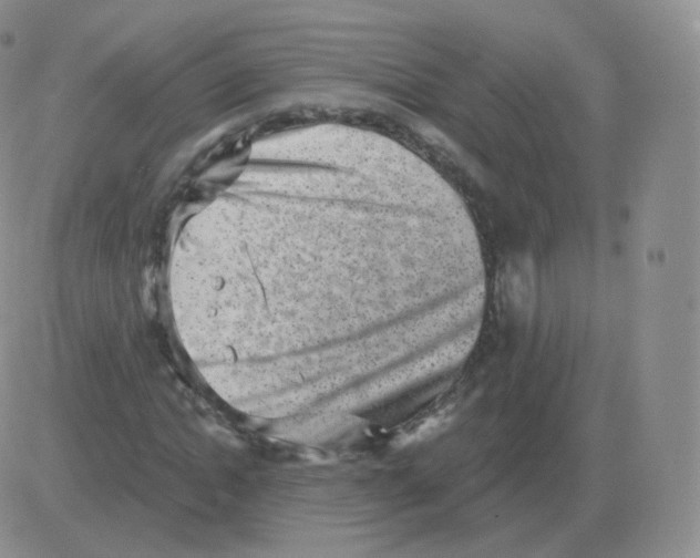 X0000082680822200702232136