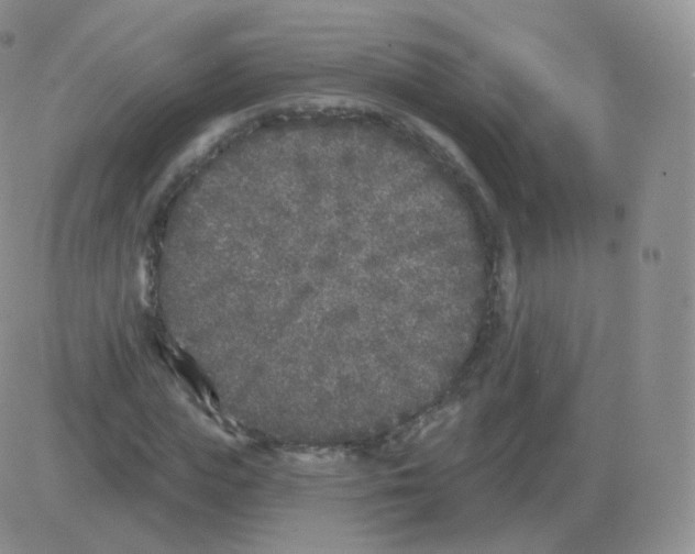 X0000082680823200702232136