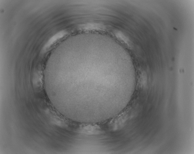 X0000082680824200702232136