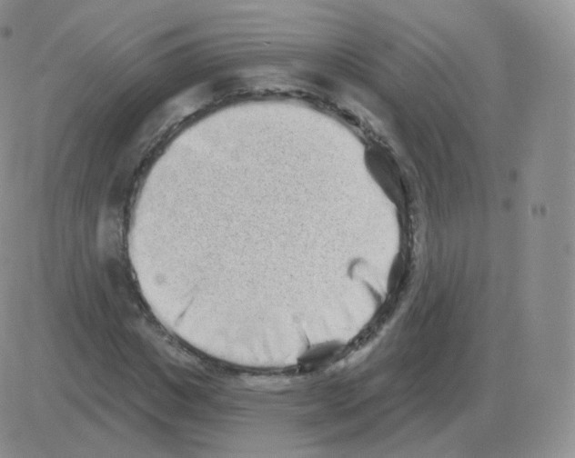 X0000082680825200702232136