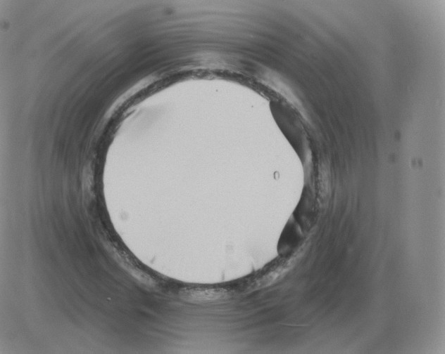 X0000082680826200702232136