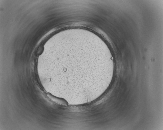 X0000082680827200702232136