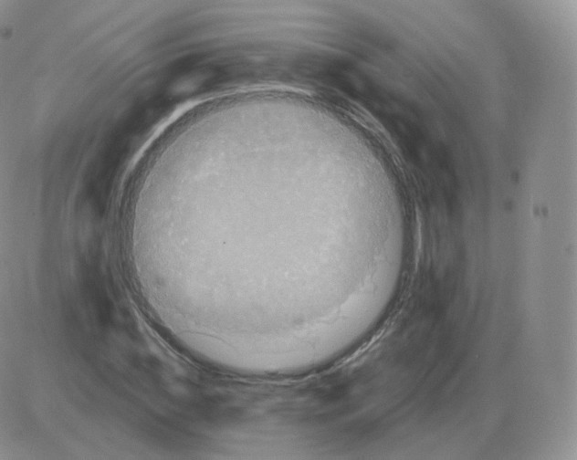 X0000082680828200702232136