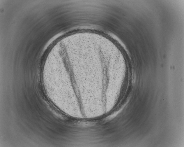 X0000082680829200702232136