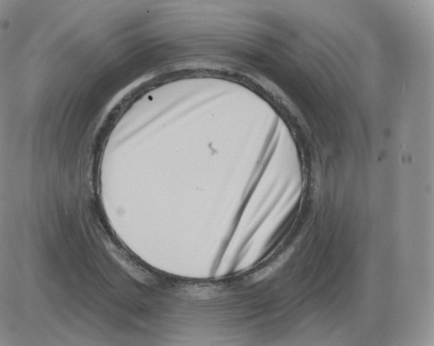 X0000082680830200702232136