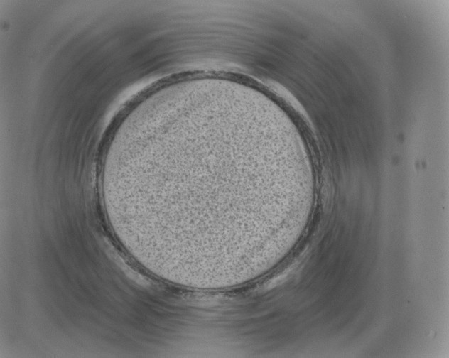 X0000082680831200702232136