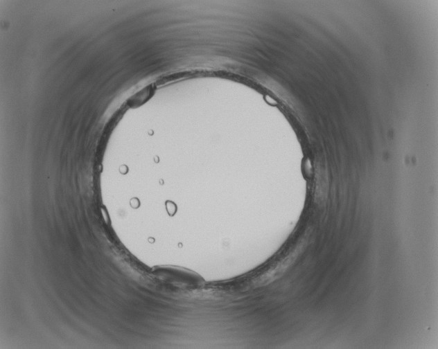 X0000082680834200702232136