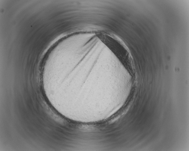 X0000082680835200702232136