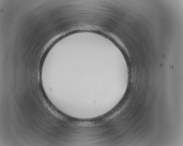 X0000082680837200702232136