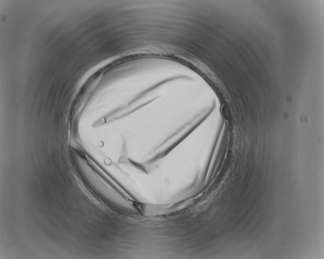 X0000082680838200702232136