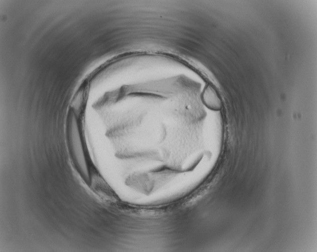 X0000082680839200702232136