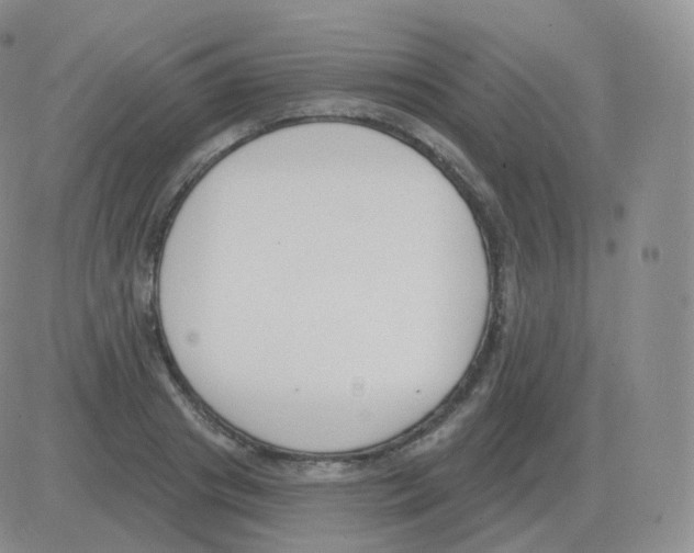 X0000082680841200702232136