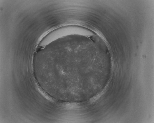 X0000082680842200702232136