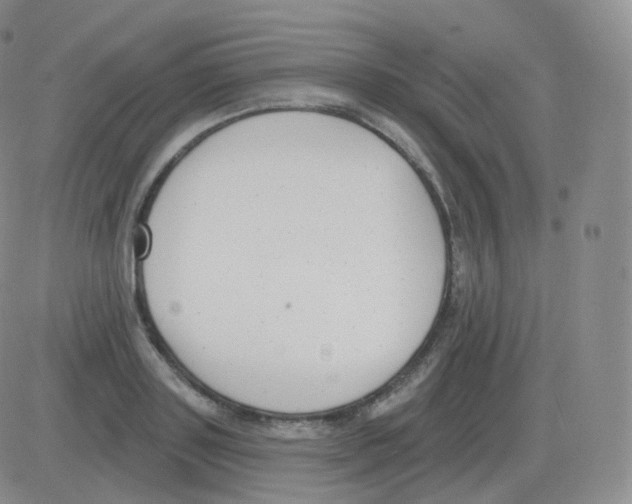 X0000082680843200702232136