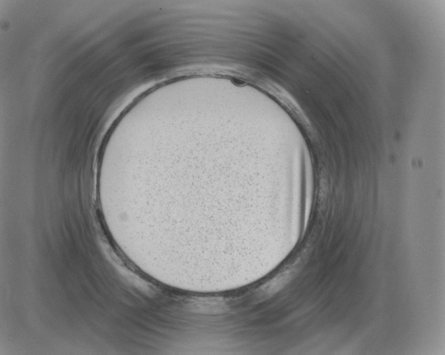 X0000082680844200702232136