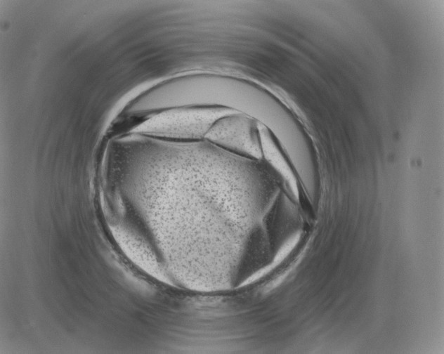 X0000082680846200702232136