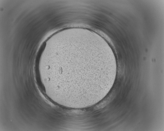 X0000082680847200702232136