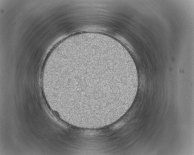 X0000082680848200702232136