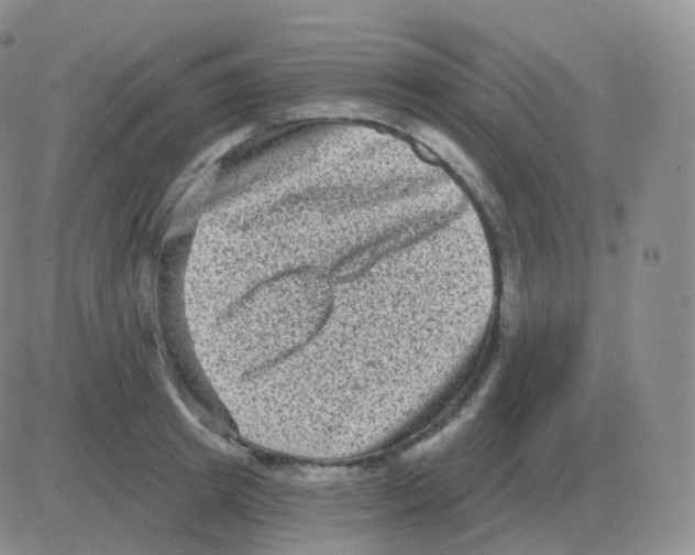 X0000082680849200702232136