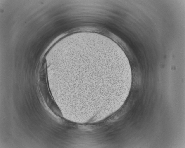 X0000082680852200702232136