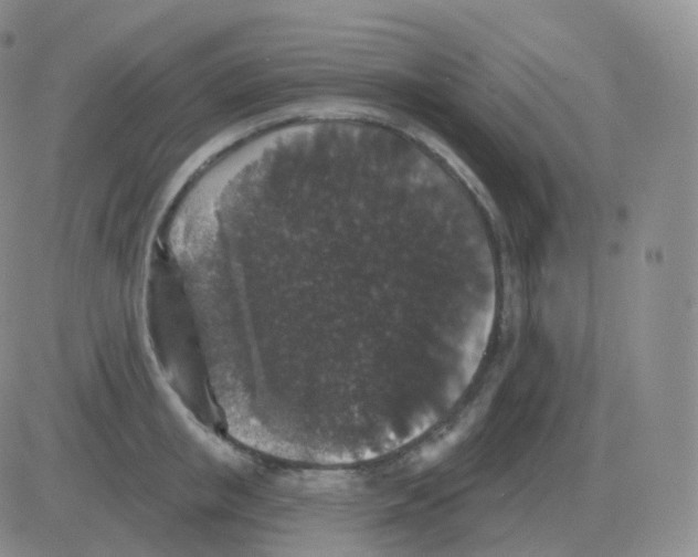 X0000082680853200702232136