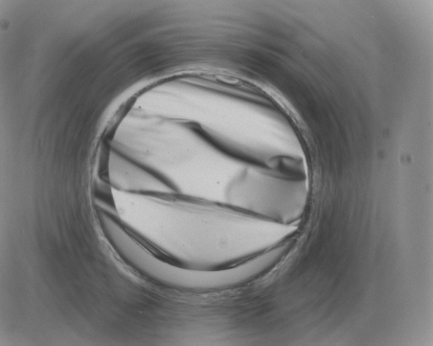 X0000082680854200702232136