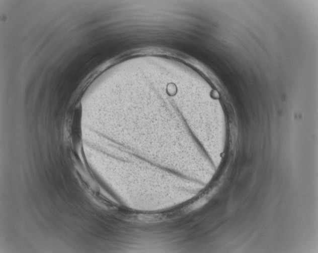 X0000082680857200702232136