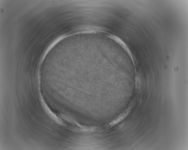 X0000082680859200702232136