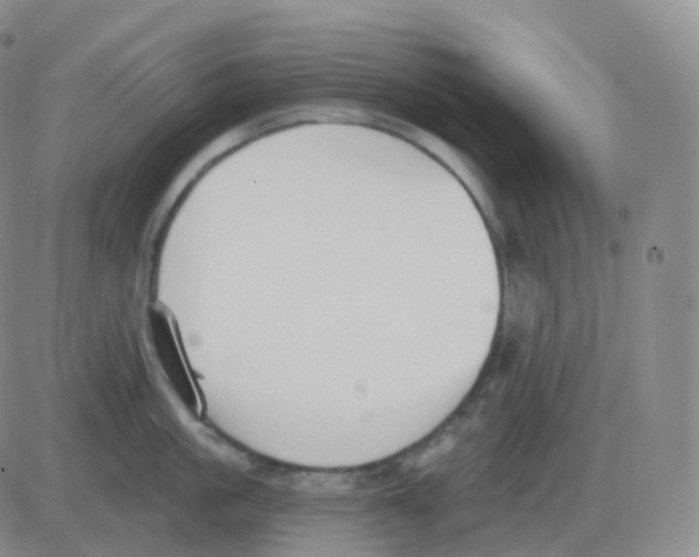 X0000082680861200702232136