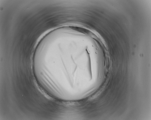 X0000082680862200702232136