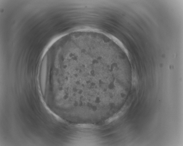 X0000082680863200702232136