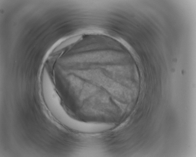 X0000082680864200702232136