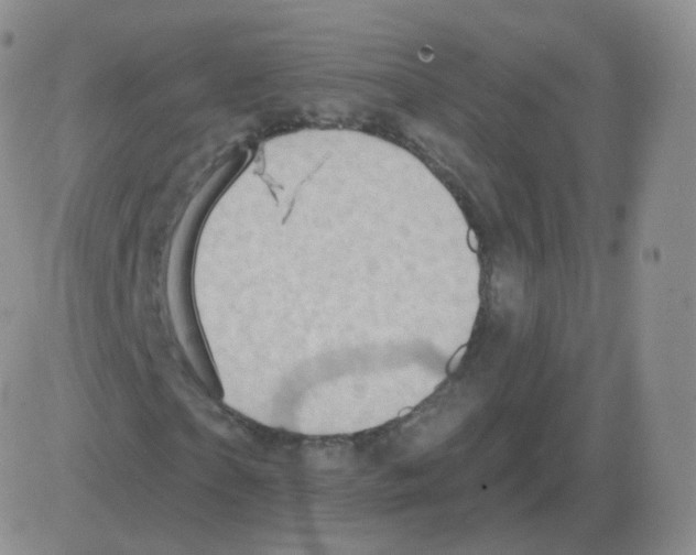 X0000082680865200702232135