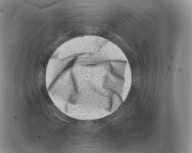 X0000082680866200702232135