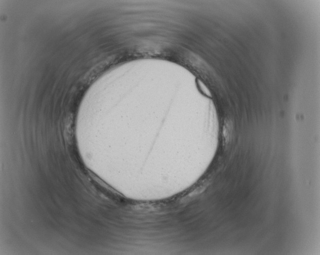 X0000082680867200702232135