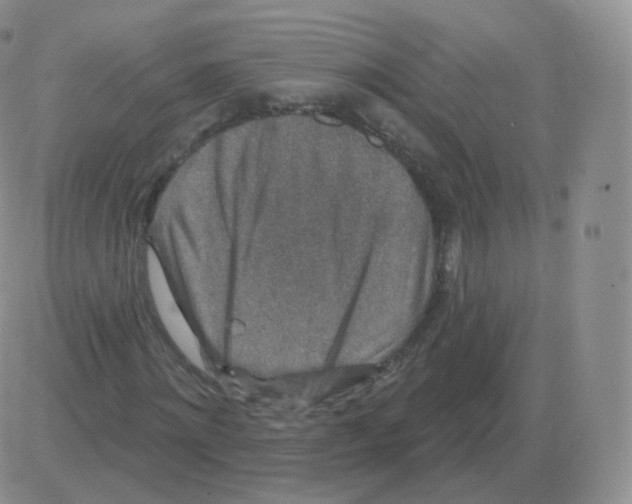 X0000082680868200702232135