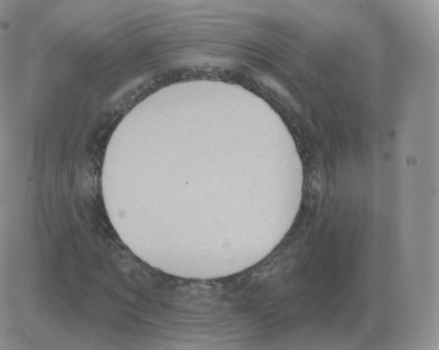 X0000082680869200702232135