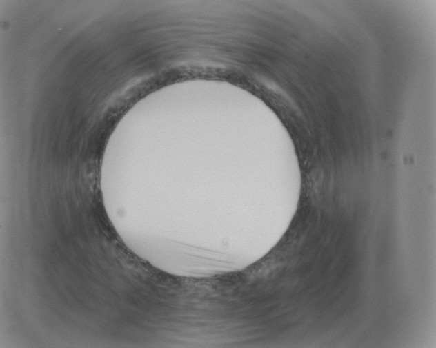 X0000082680870200702232135