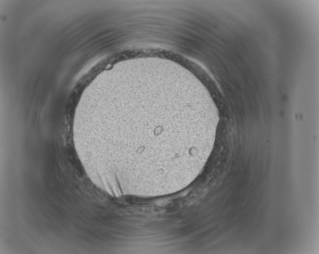 X0000082680871200702232135