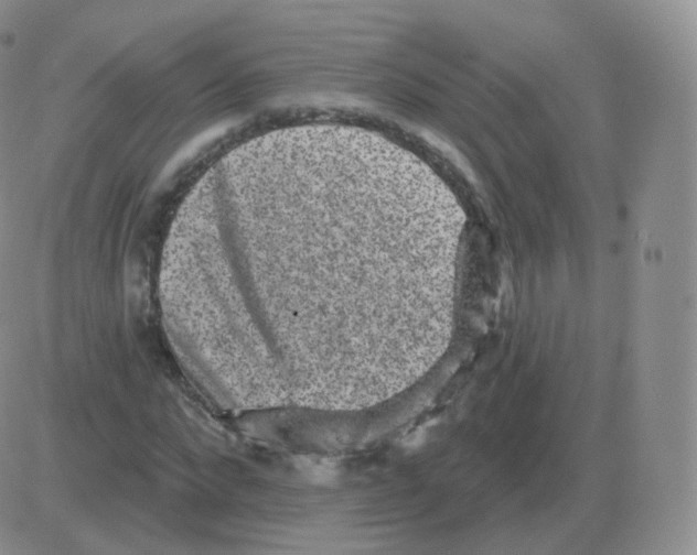 X0000082680872200702232135