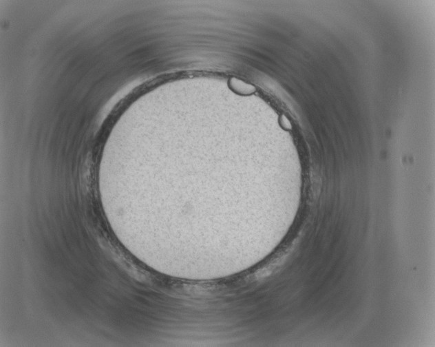 X0000082680875200702232135