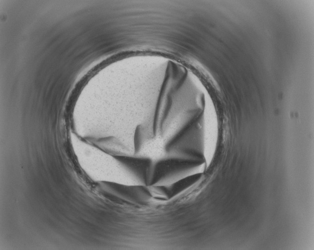 X0000082680876200702232135