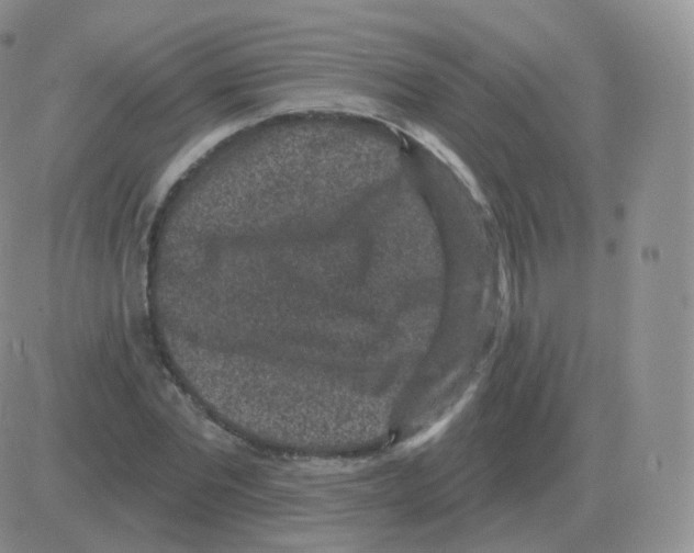 X0000082680877200702232135