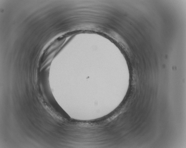 X0000082680880200702232135