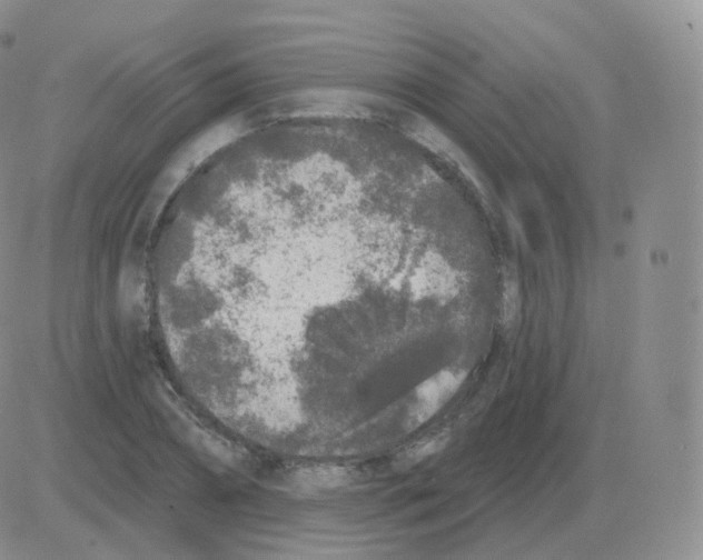 X0000082680882200702232135