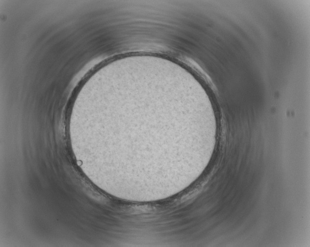 X0000082680883200702232135