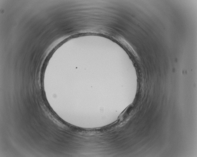 X0000082680884200702232135