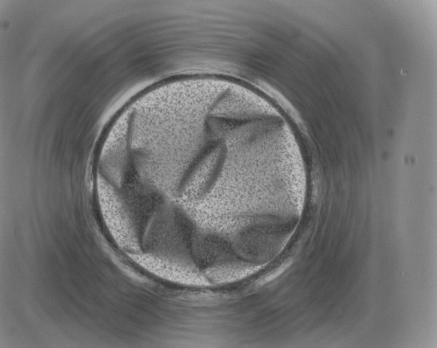 X0000082680885200702232135